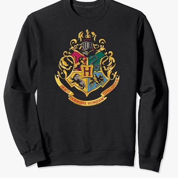 Harry Potter Hogwarts School Crest Sweatshirt - Picture 1 of 8